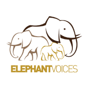 ElephantVoices logo