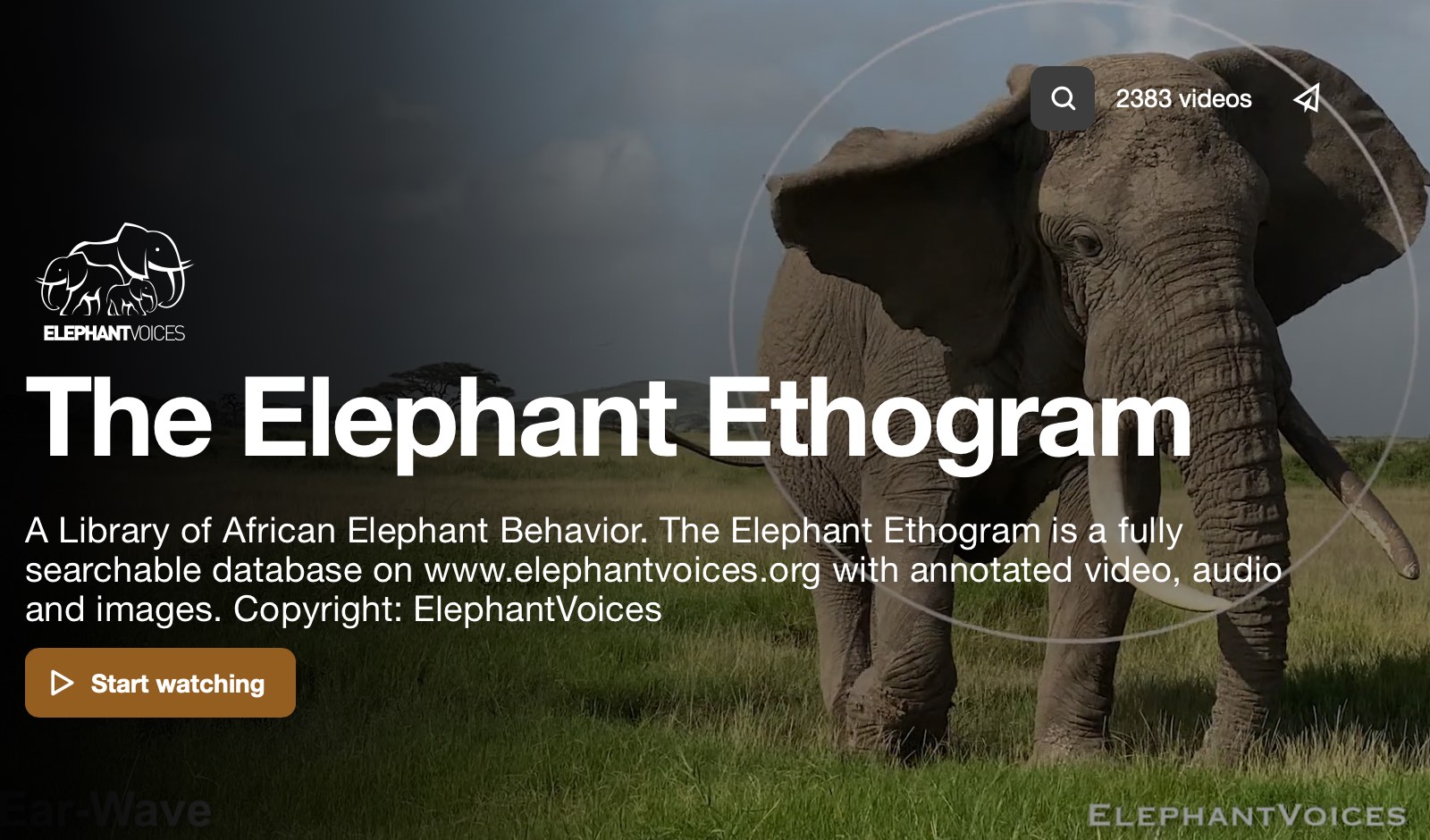 Screenshot from The Elephant Ethogram