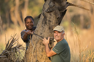 Gorongosa intern, Michel Sousa, and Petter Granli setting up a motion triggered camera, also called a camera trap. ©ElephantVoices.