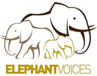 Elephantvoices