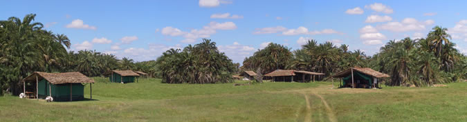 Amboseli Elephant Research Camp